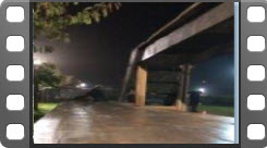 leuke hondentraining video